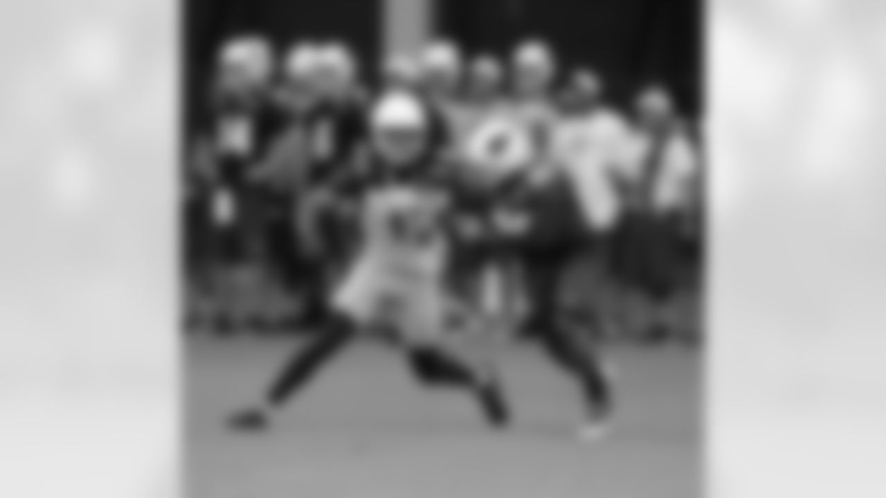 WR Larry Fitzgerald versus CB Jerraud Powers