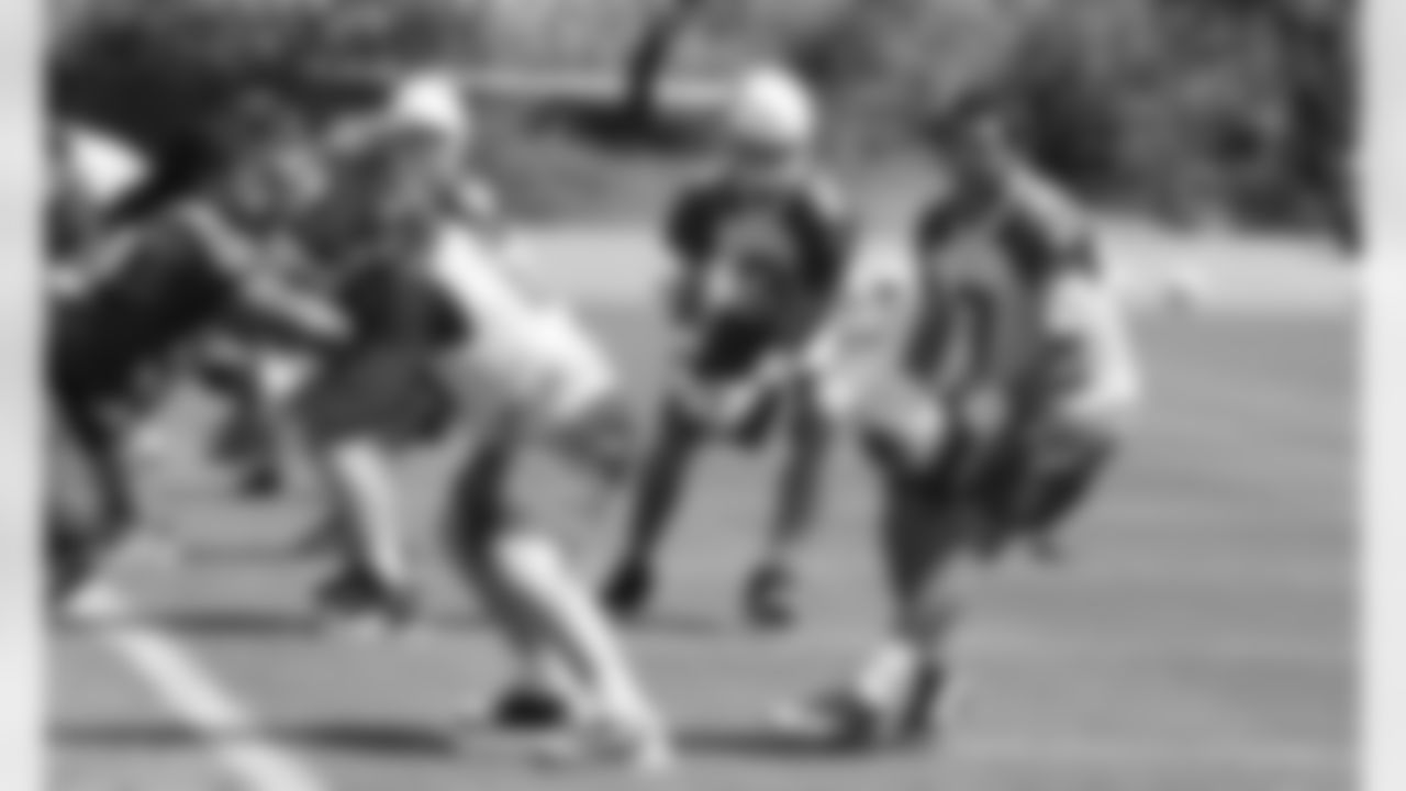 Leinart takes a snap from Lyle Sendlein