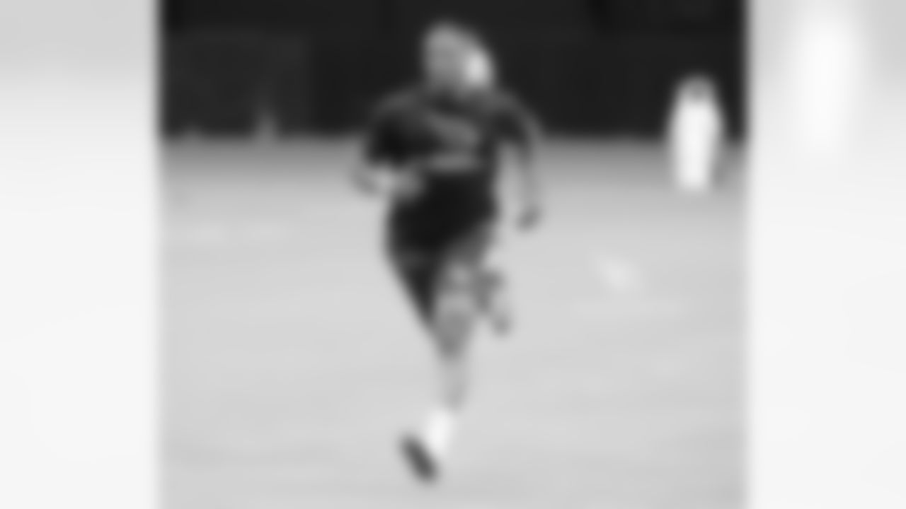 RB David Johnson