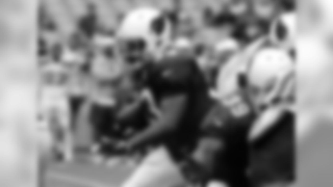 RB Kerwynn Williams