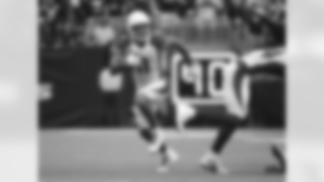 WR Larry Fitzgerald