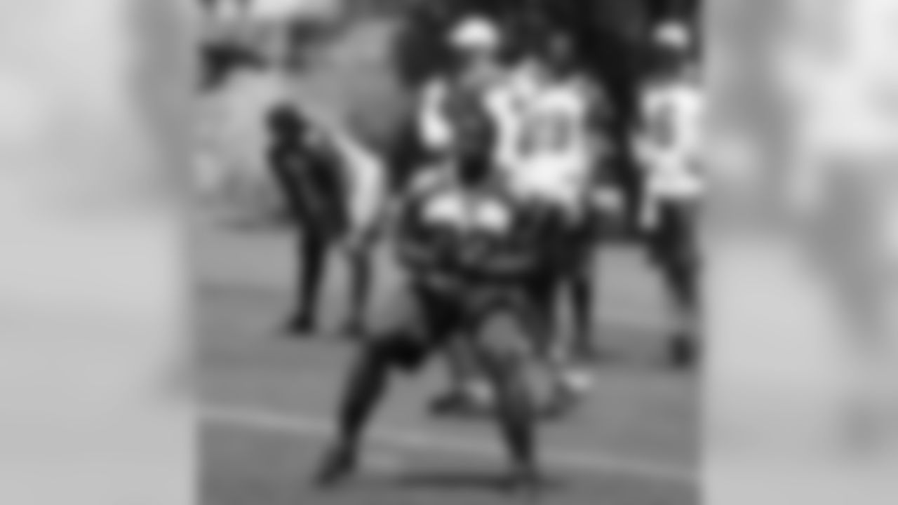 RB Rashard Mendenhall in pass protection