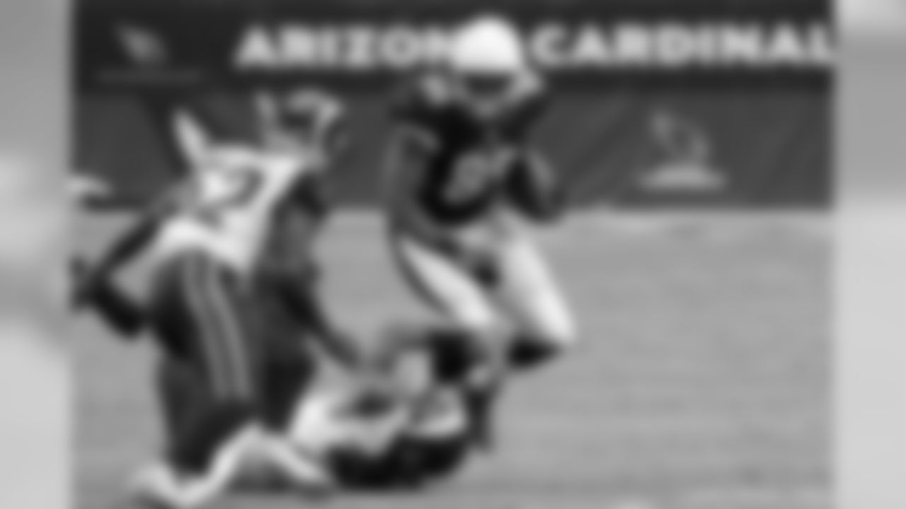TE Darren Fells (restricted)
