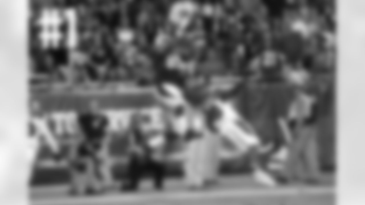 TE Darren Fells catches a touchdown pass