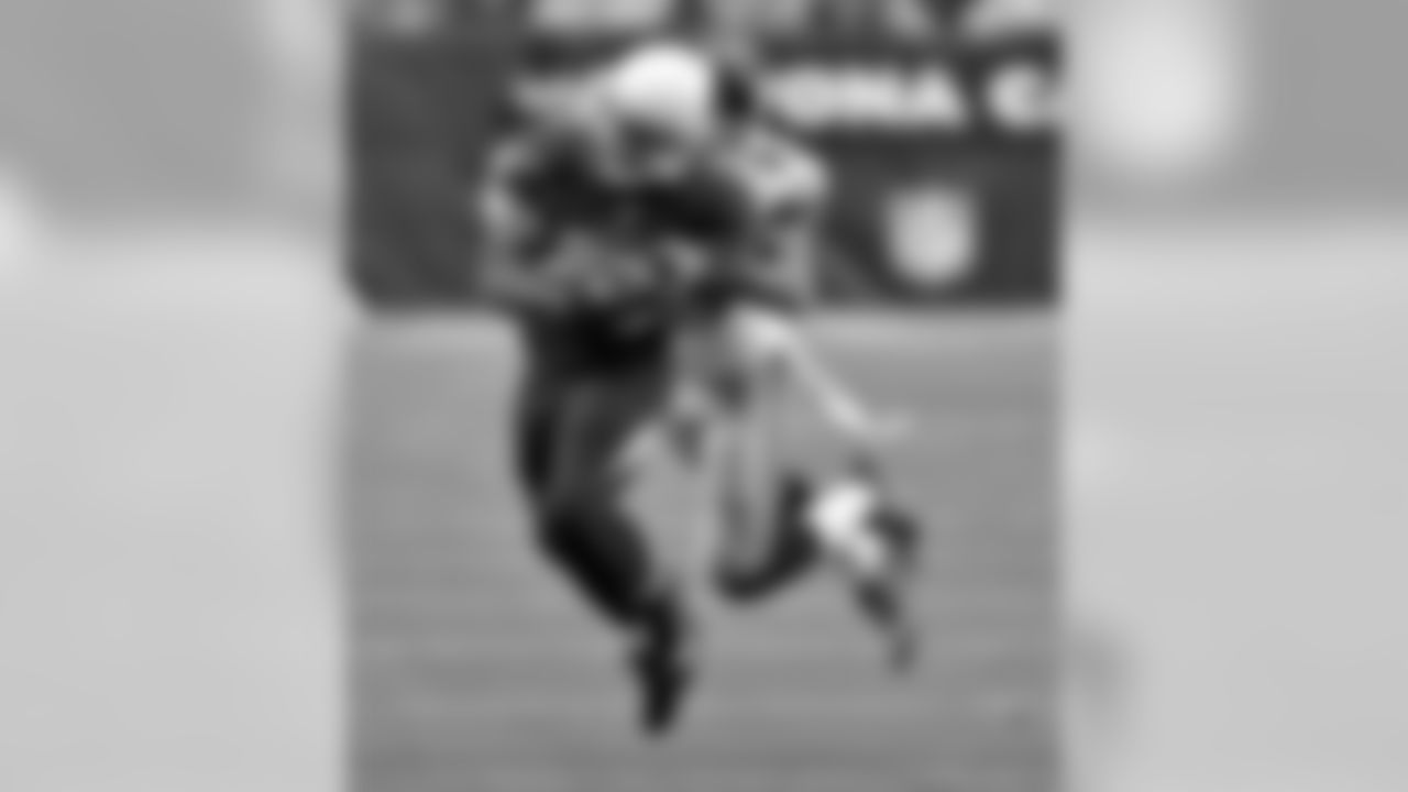 Cardinals RB Kerwynn Williams on the carry