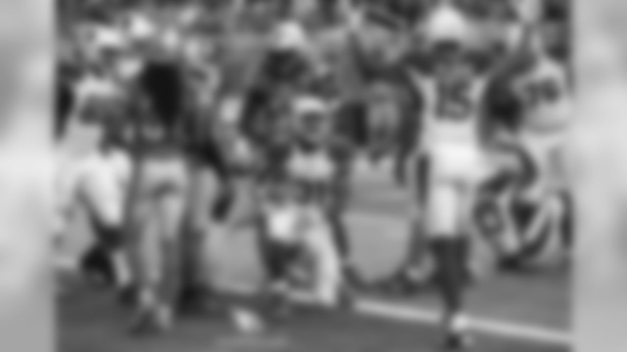 RB David Johnson finds the end zone