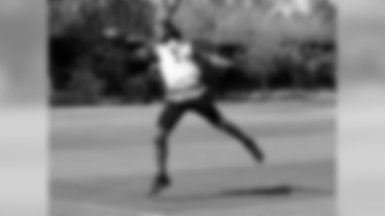 WR Larry Fitzgerald