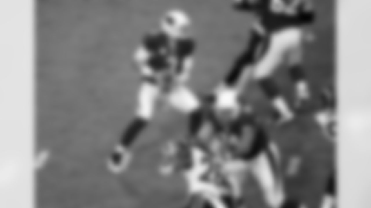 QB Carson Palmer looks to pass