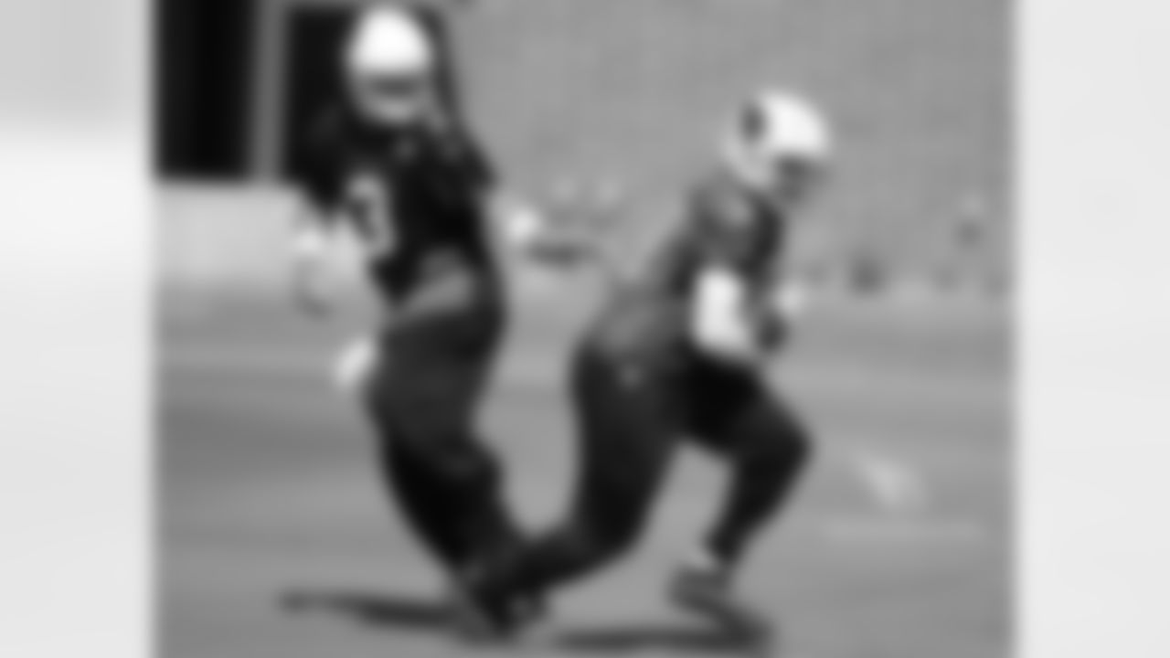 RB David Johnson
