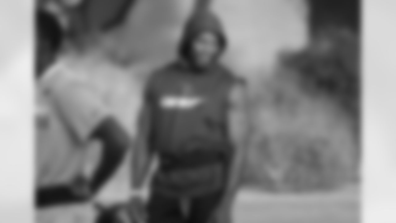 RB David Johnson