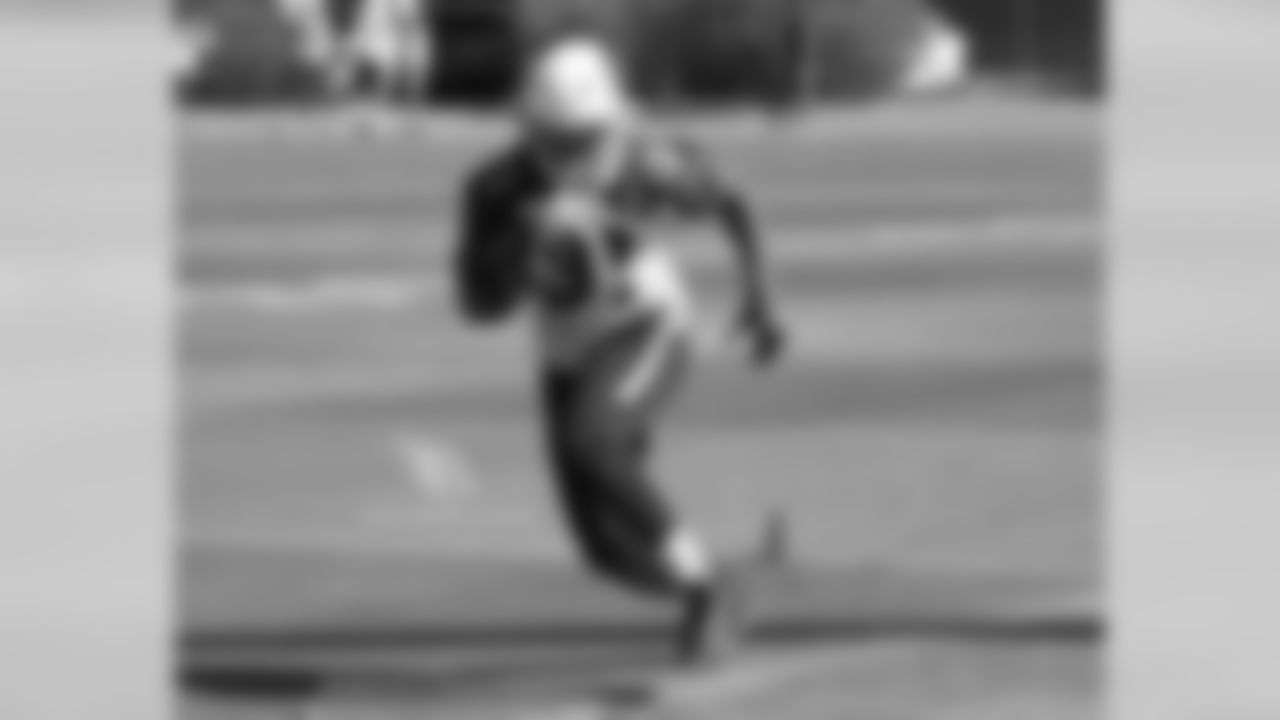 RB David Johnson