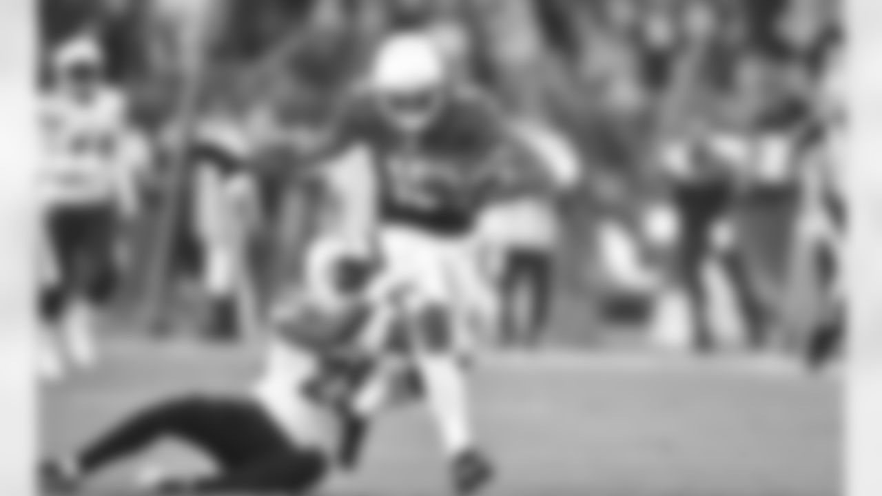 WR Michael Floyd: 11 catches, 252 yards