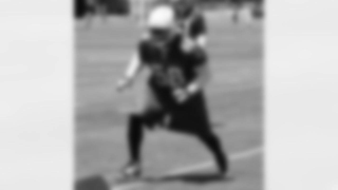 Karlos Dansby