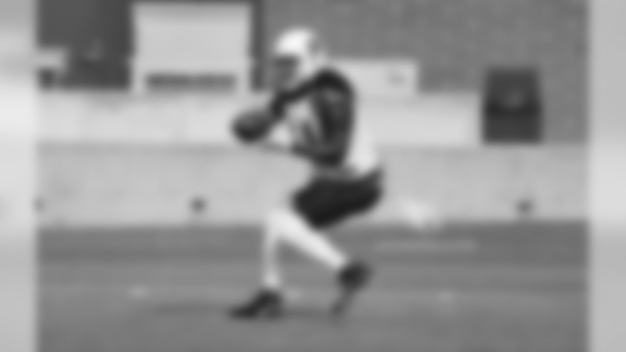 WR Larry Fitzgerald