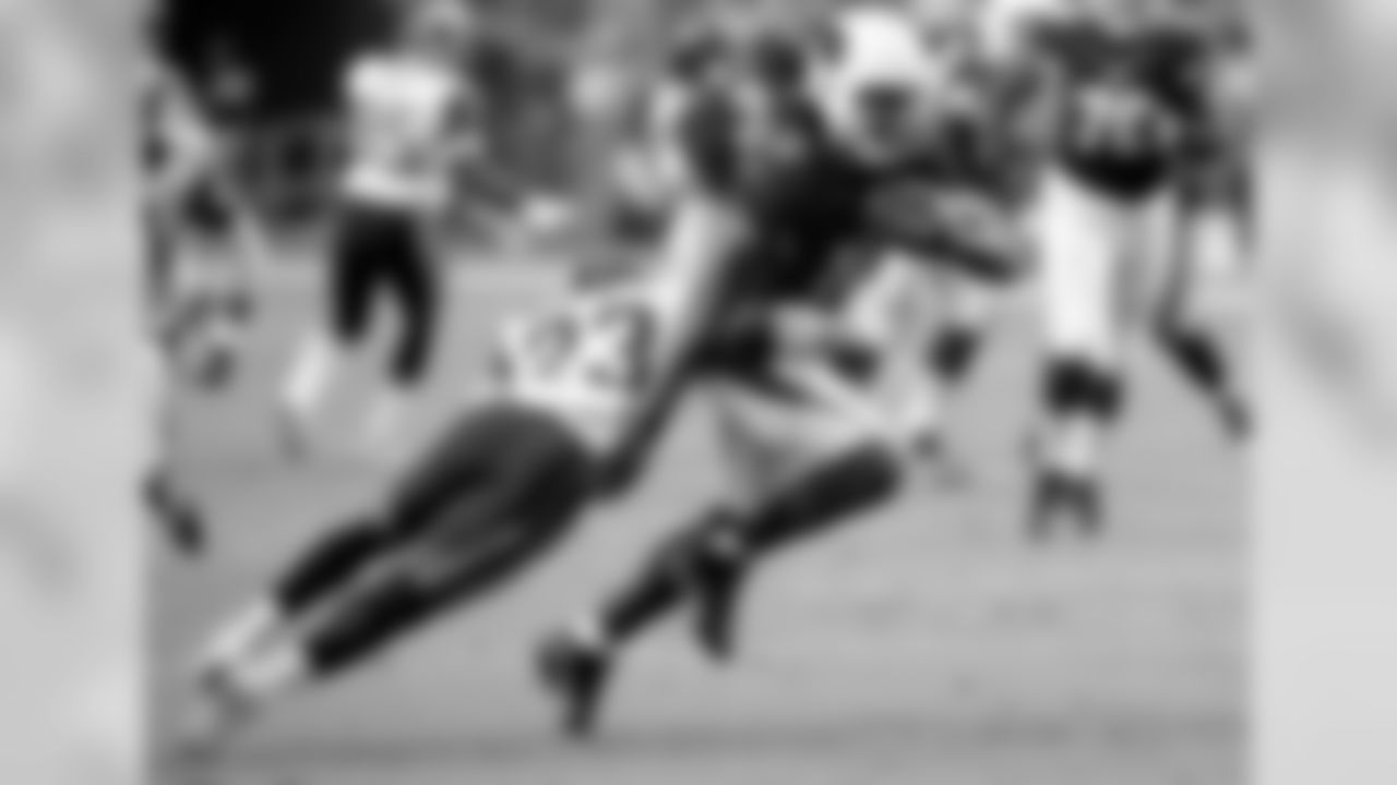 WR Larry Fitzgerald