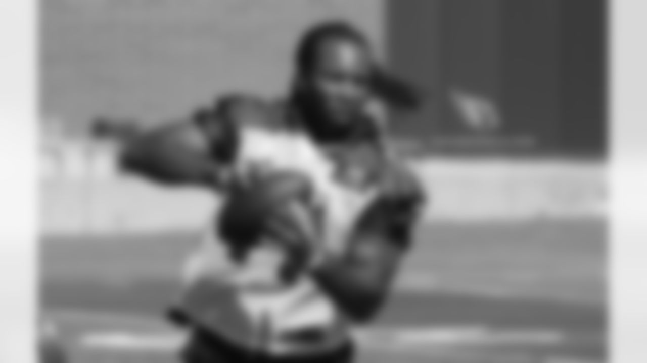 WR Larry Fitzgerald