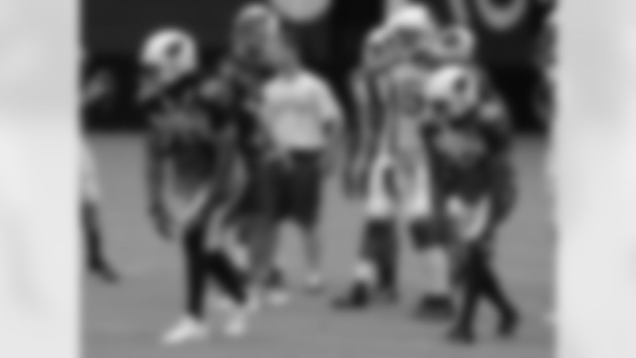 Fitz and Andre Roberts are set for the snap