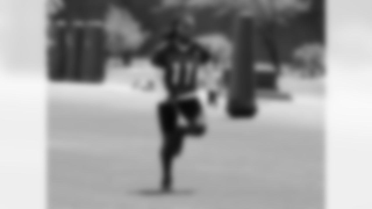 WR Larry Fitzgerald