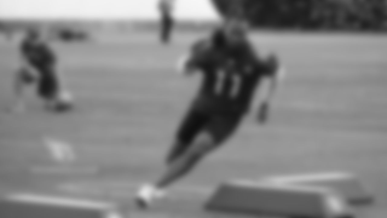 WR Larry Fitzgerald