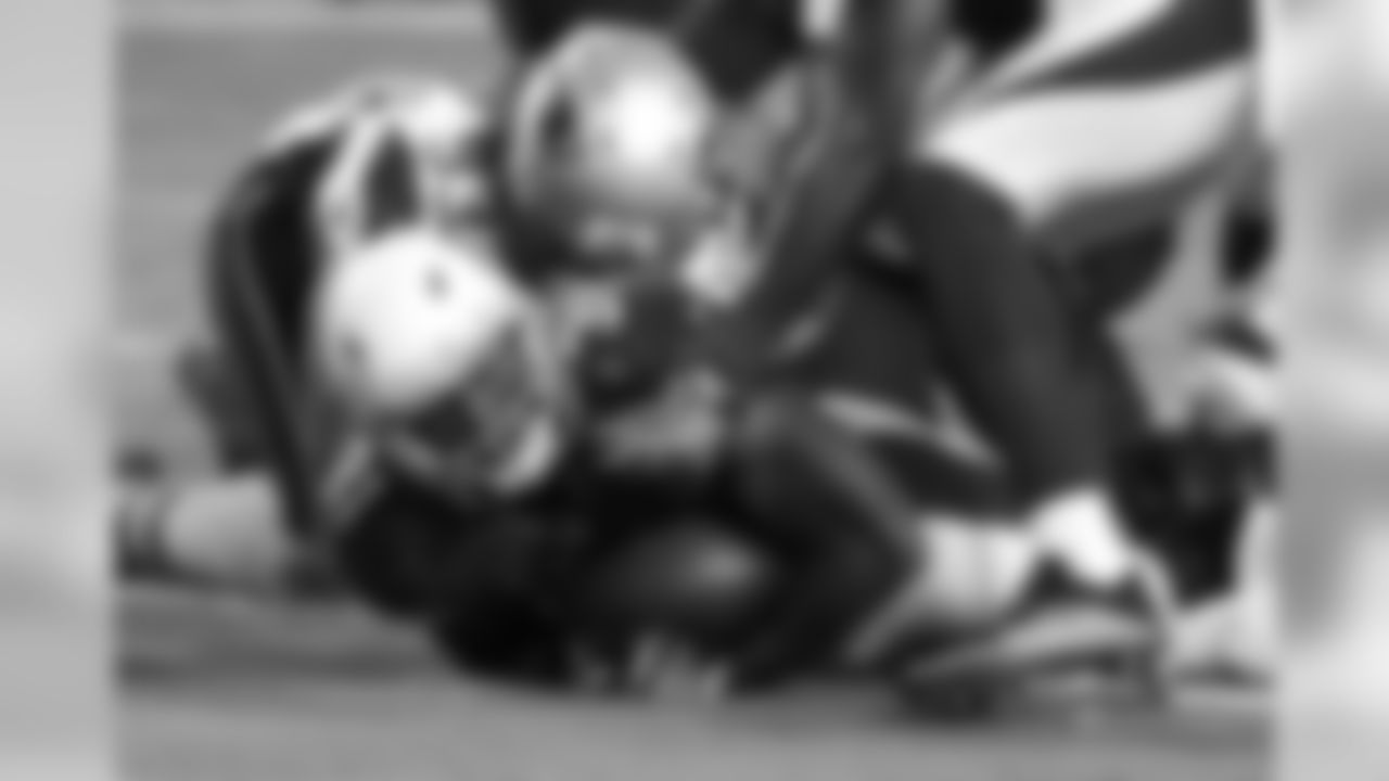 RB David Johnson crosses the goal line