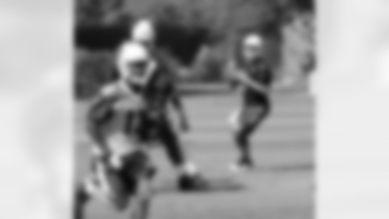 QB Carson Palmer back to pass