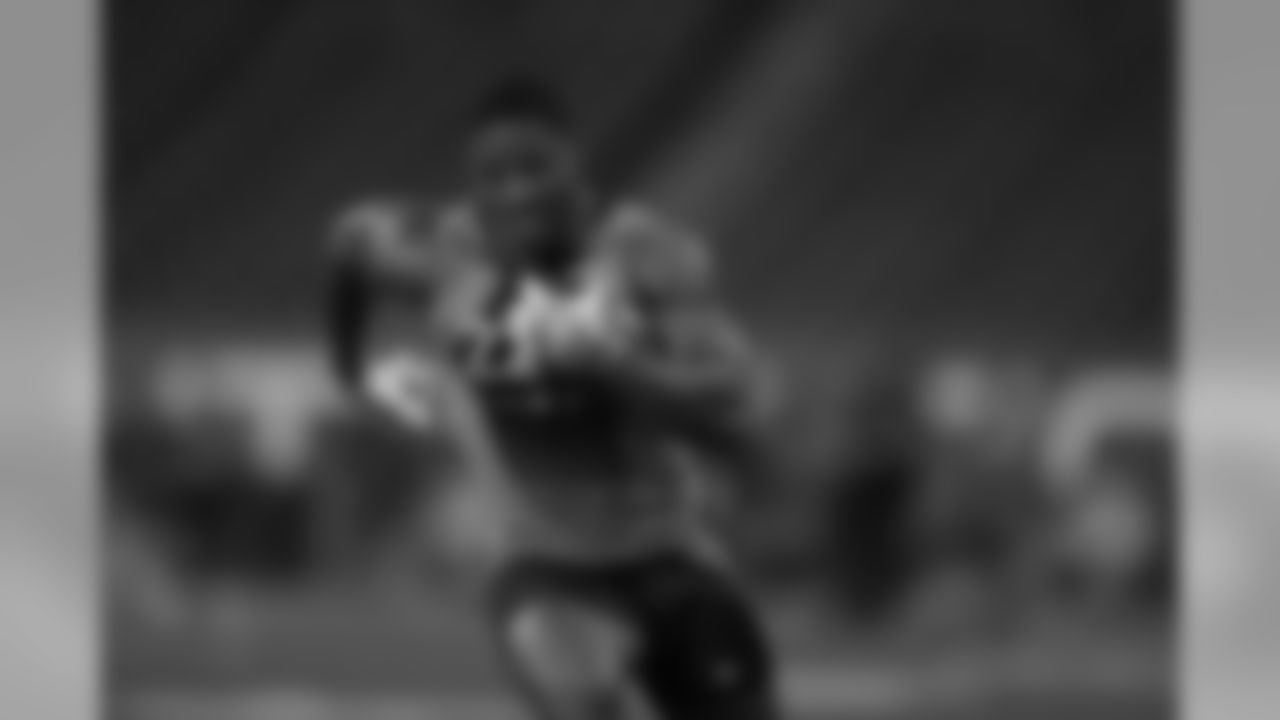 RB David Johnson