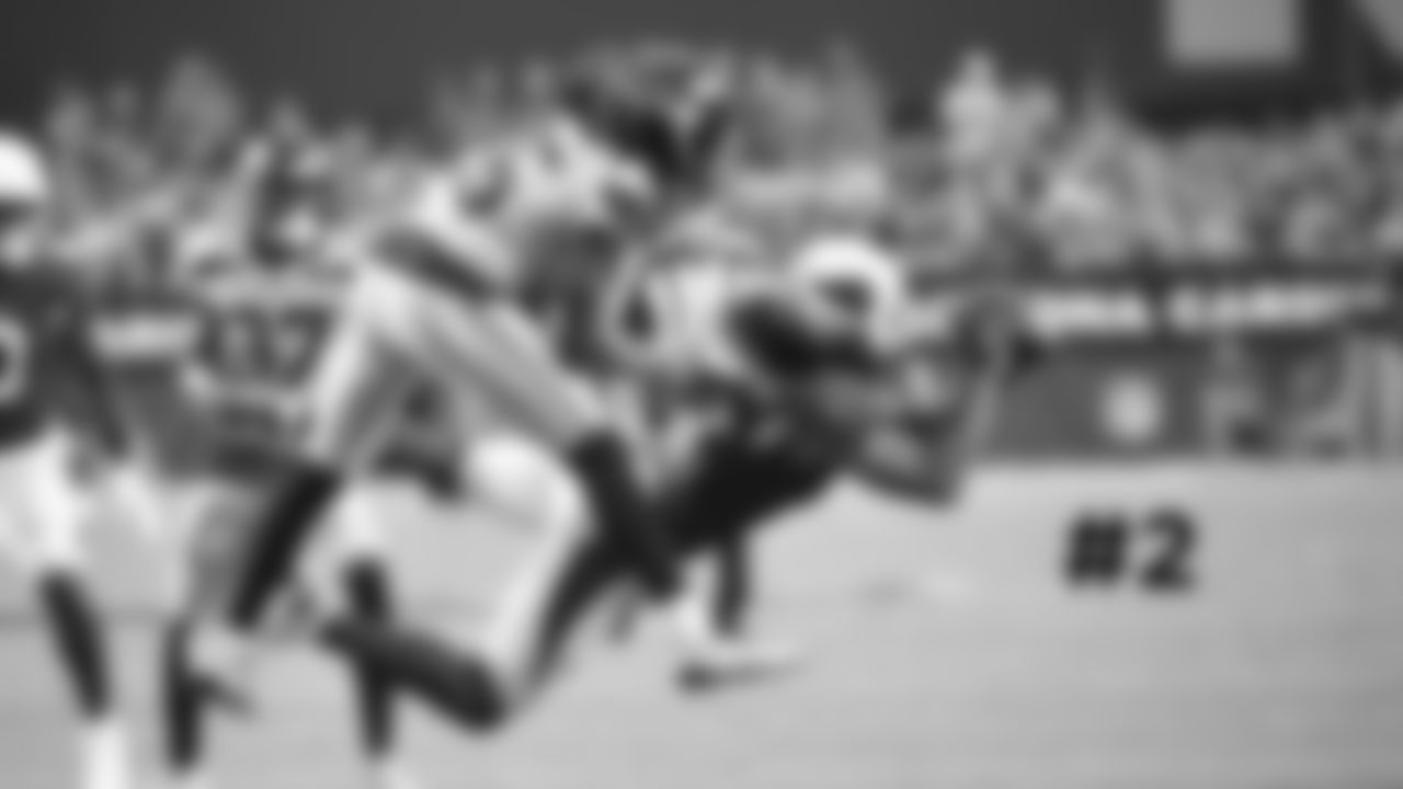 2. WR Larry Fitzgerald makes a diving grab