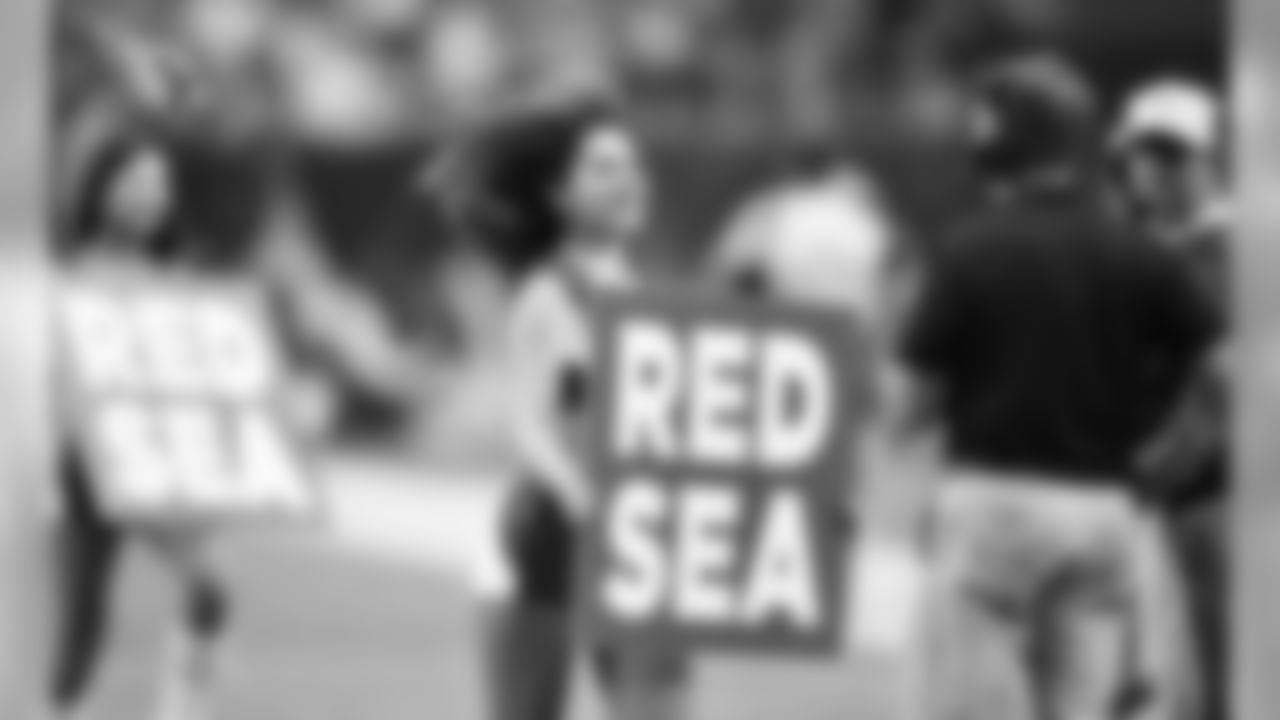 Images of Cardinals cheerleader Alexis during the 2019 season