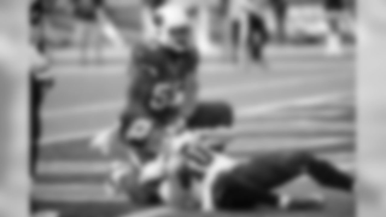 LB John Abraham: 11.5 sacks