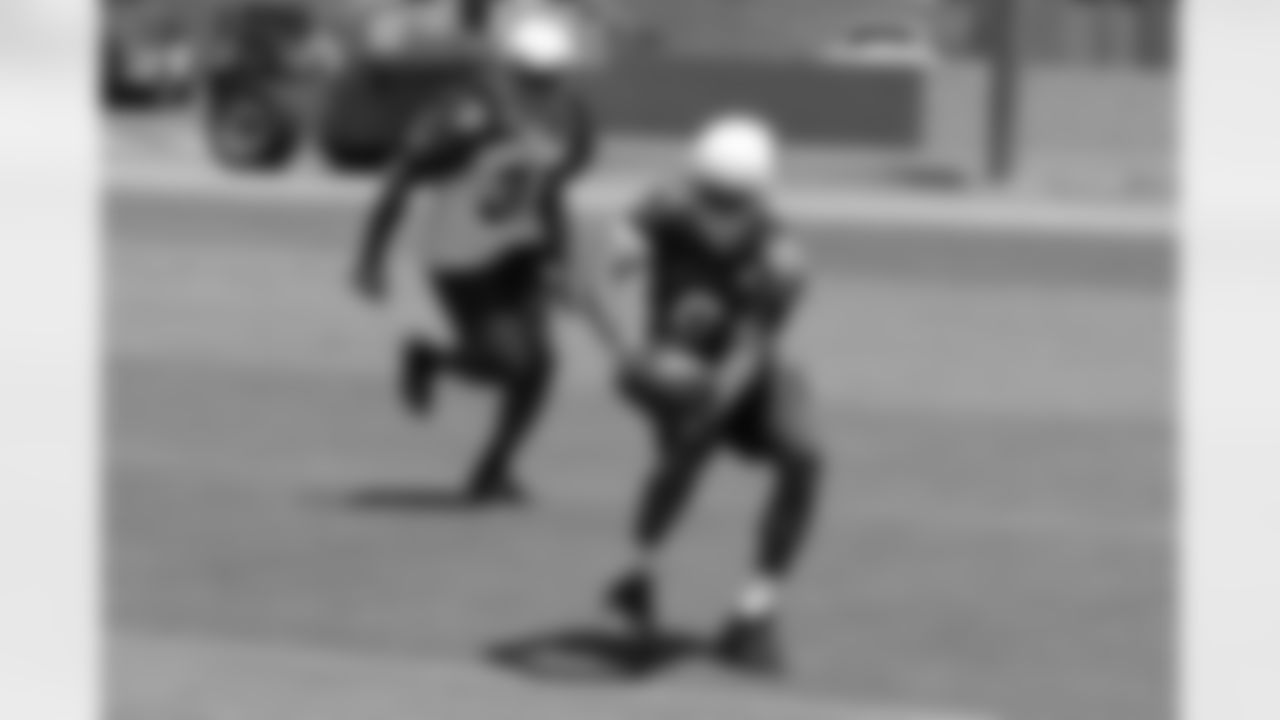 WR Ted Ginn catches a pass