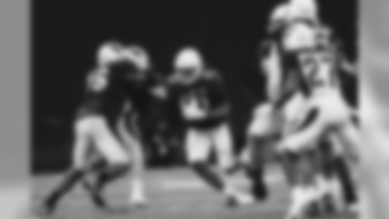 RB David Johnson