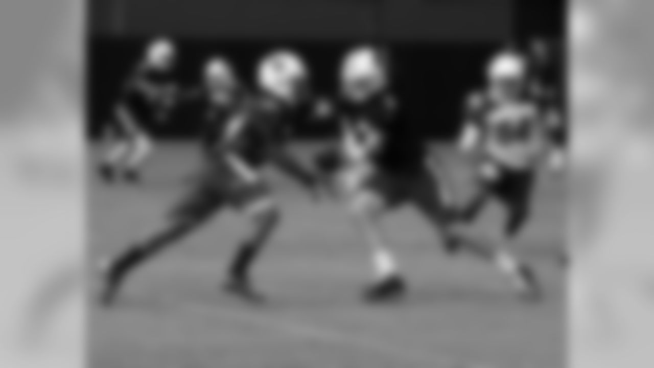 QB Carson Palmer hands the ball off to RB Andre Ellington