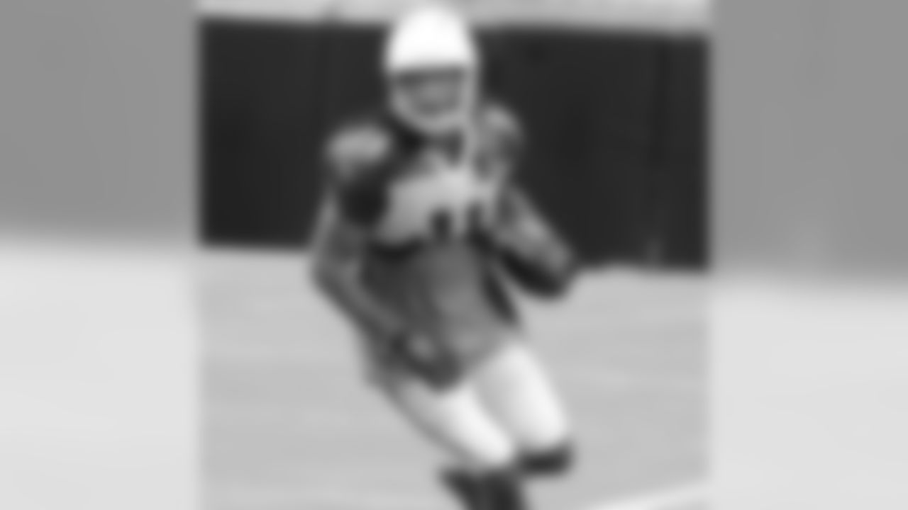 WR Larry Fitzgerald