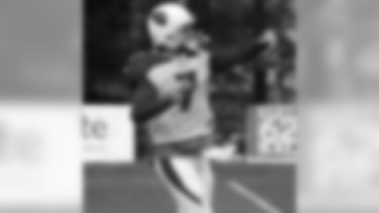 QB Matt Leinart, photo by Peter Vander Stoep
