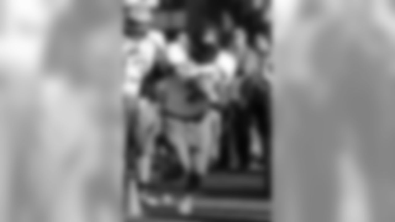 RB David Johnson