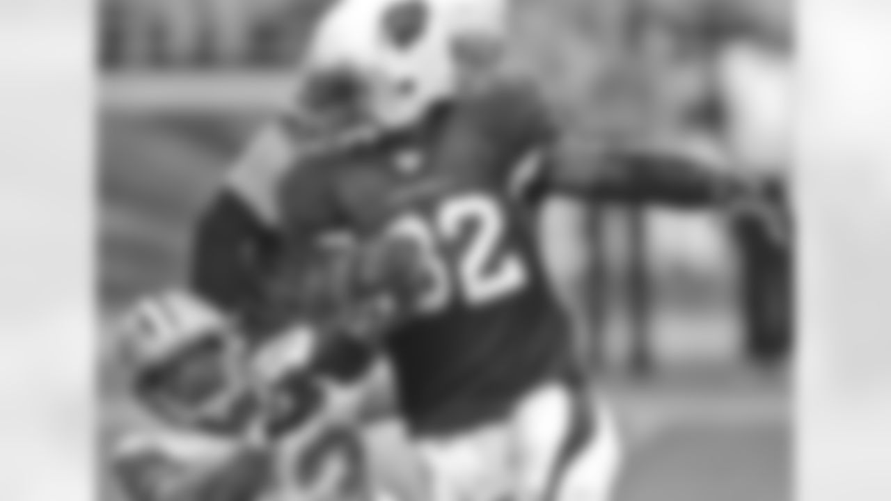 Edgerrin James 2006