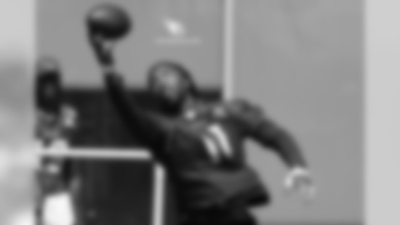 WR Larry Fitzgerald
