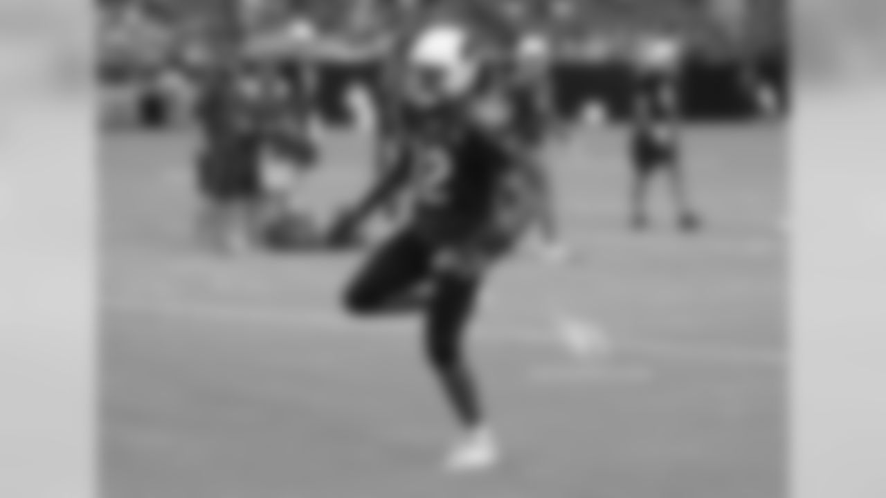 WR Brice Butler