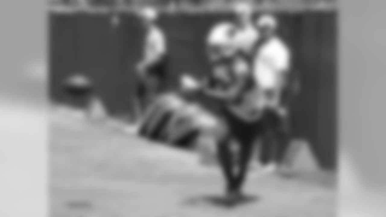 RB Andre Ellington takes a pitch