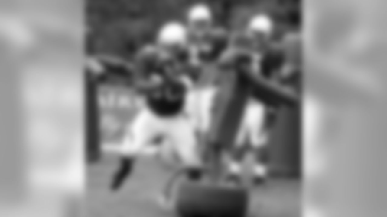 DT Darnell Dockett, photo by Peter Vander Stoep
