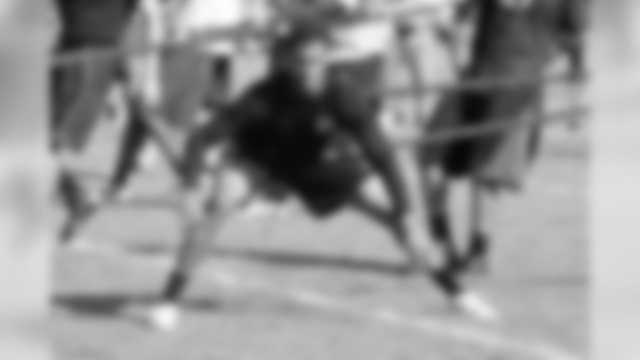Jaguars WR Laurent Robinson