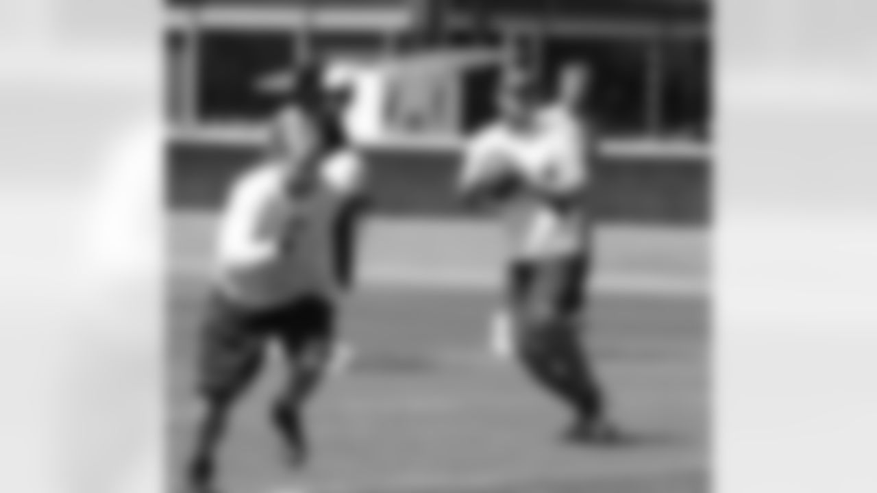 QB John Skelton fades to pass