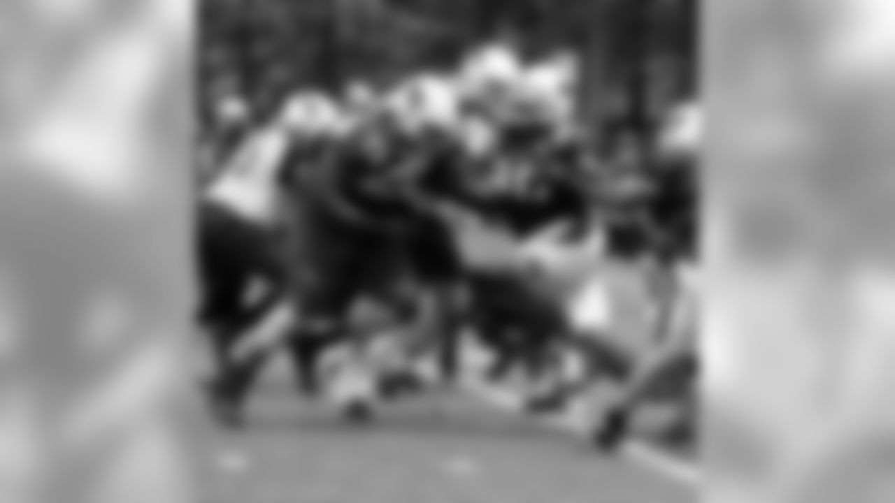 Darnell Dockett rushes the passer