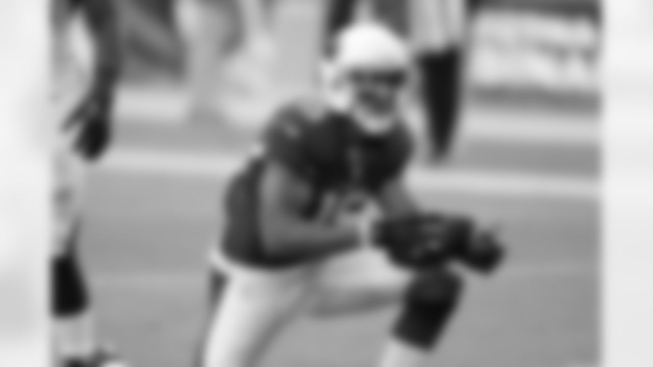 WR Michael Floyd
