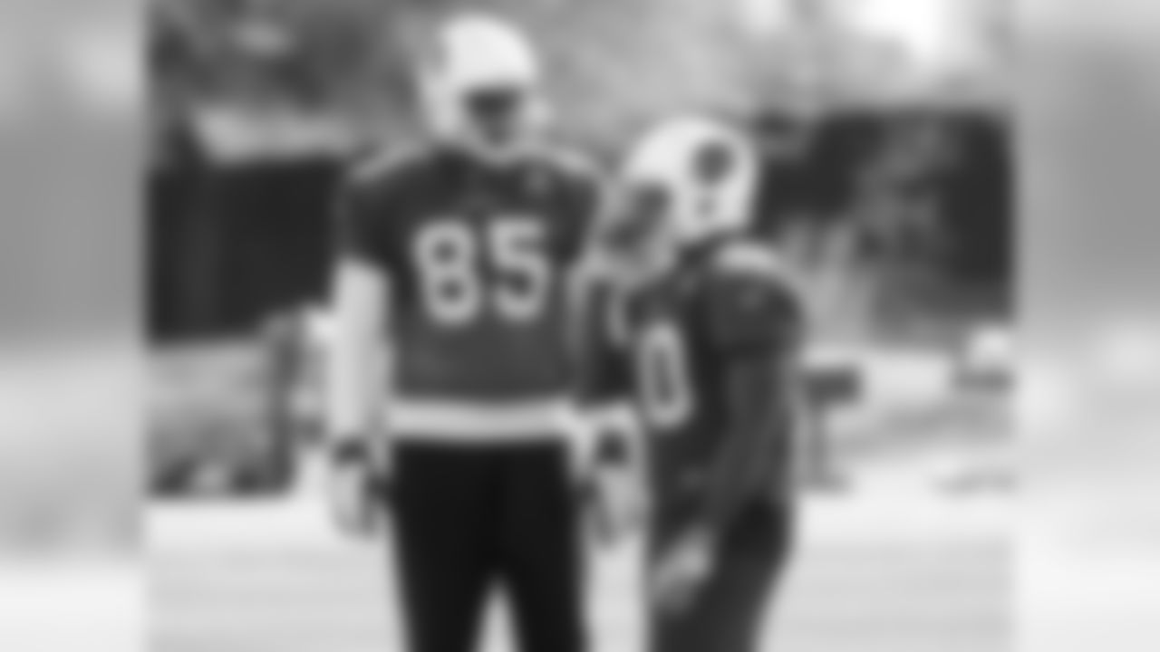 TE Darren Fells (left) and RB Stepfan Taylor