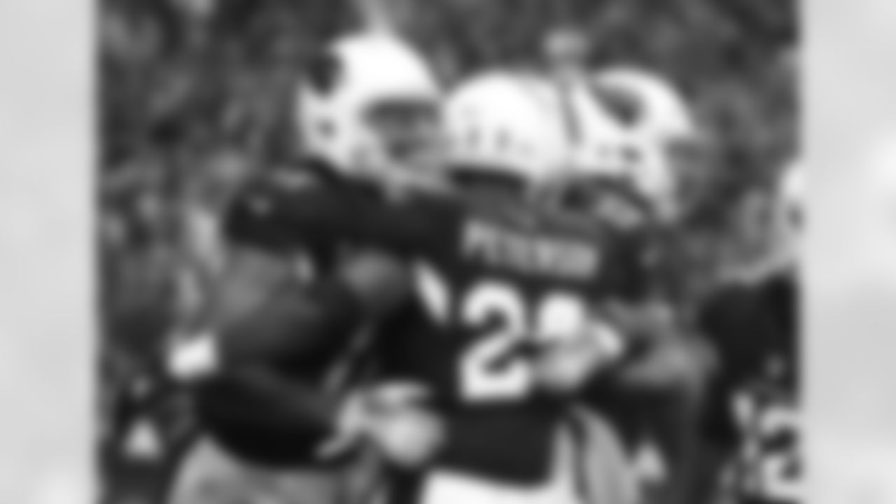 Adrian Peterson celebrates a touchdown with Larry Fitzgerald and teammates