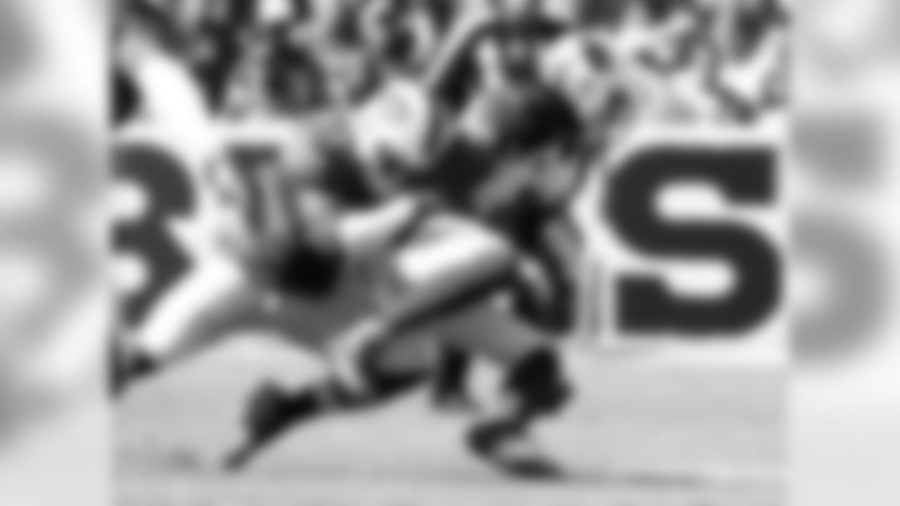WR Larry Fitzgerald makes a catch