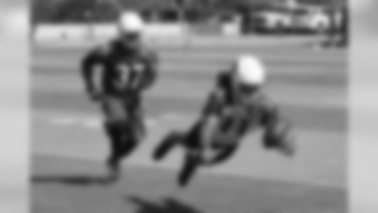 WR Larry Fitzgerald with the one-handed grab