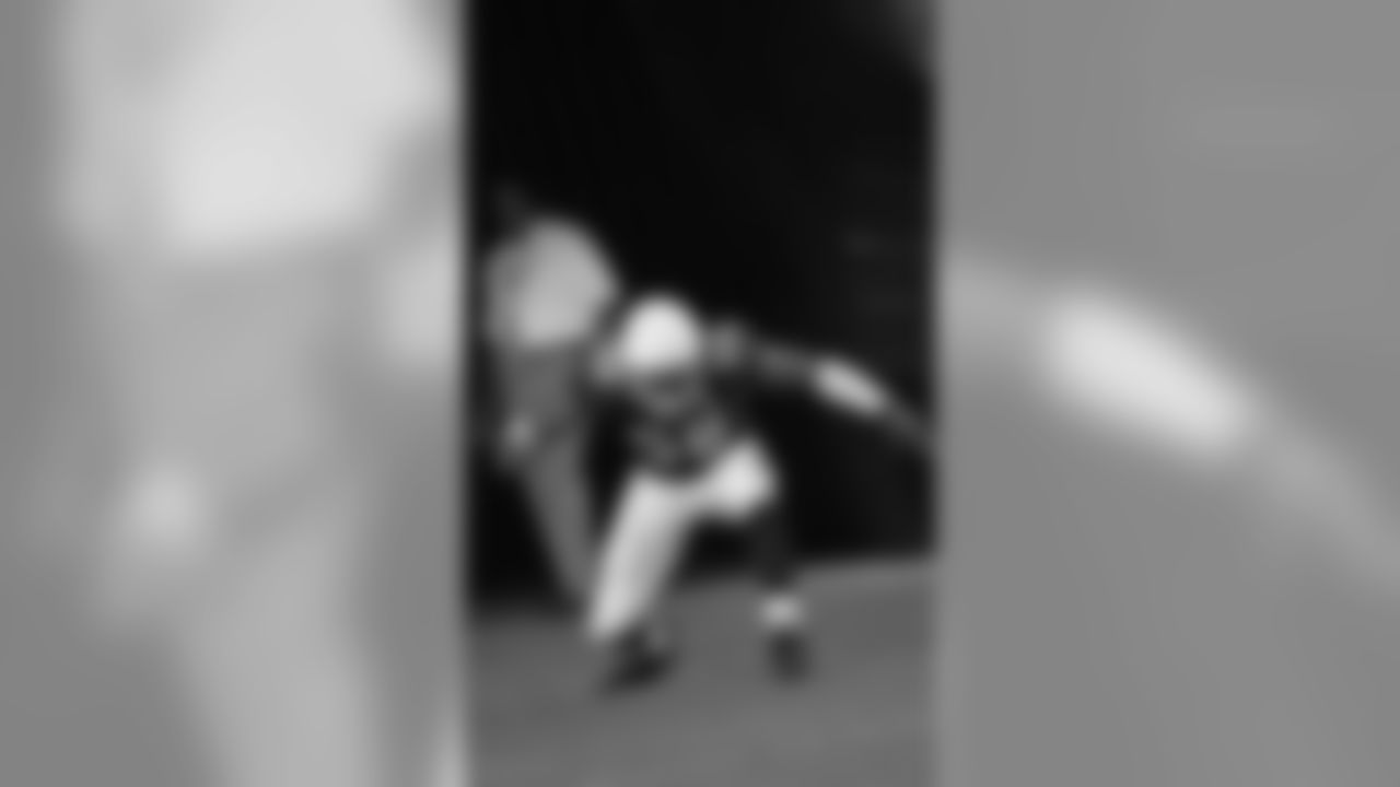 LB Karlos Dansby
