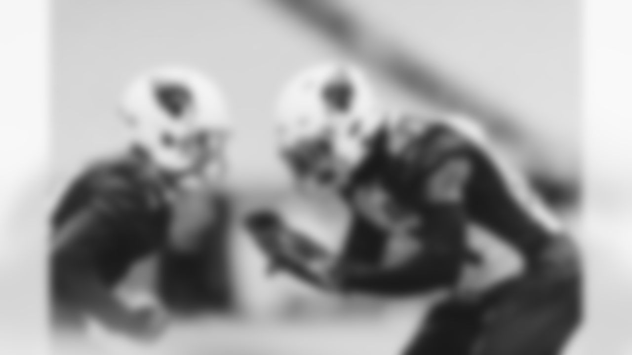 CB Patrick Peterson